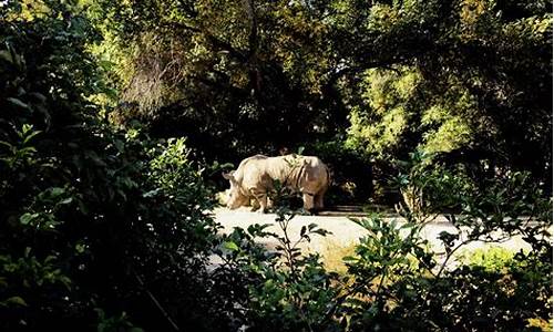 动植物公园营业时间_长春动植物公园营业时