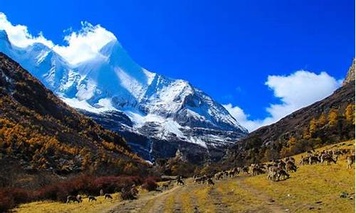 稻城亚丁必去的几个景点_稻城亚丁旅游攻略