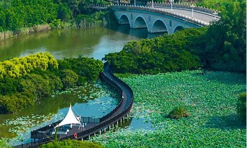 如何去南沙湿地公园,南沙湿地公园游船路线