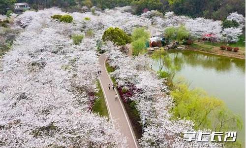 长沙玉湖公园在哪里,长沙玉湖公园在哪里预