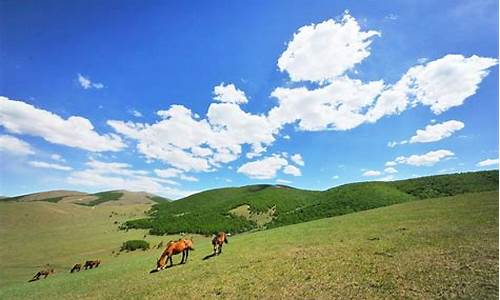 丰宁坝上草原旅游攻略2天需要多少钱_丰宁