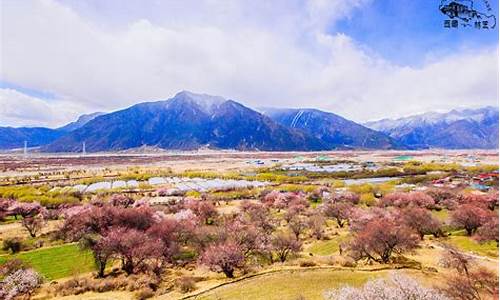 林芝旅游攻略必玩的景点推荐一下,林芝旅游