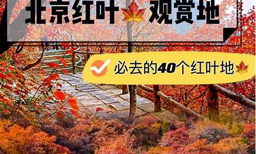 窑洼湖公园游玩攻略,窑洼湖公园东园从哪个门进