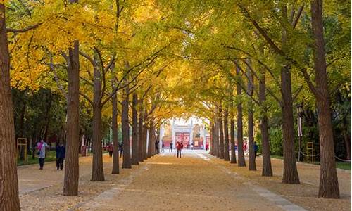 北京地坛公园需要预约吗,地坛公园收费吗