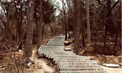 烟台南山公园门票免费吗,09年26烟台南山公园门票