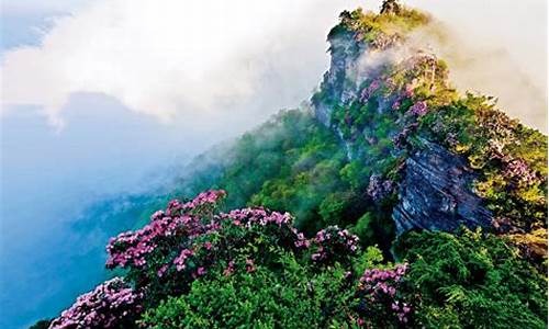 光雾山旅游攻略香炉山怎么走_光雾山香炉山风景区在哪里