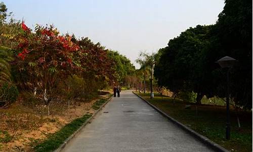 广州龙头山森林公园游玩攻略_广州龙头山景区门票多少钱