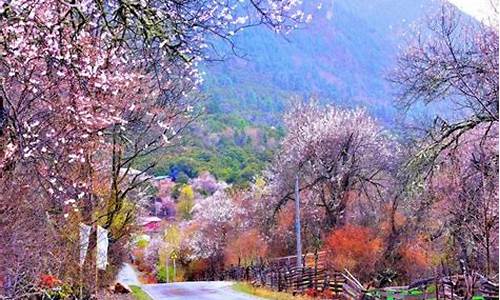 林芝旅游攻略自由行四日游路线,林芝旅游攻略自由行四日