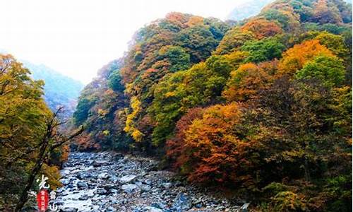 巴中光雾山景区门票_巴中光雾山旅游攻略特产