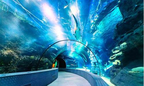 长风公园和上海水族馆哪个好_上海长风公园水族馆门票