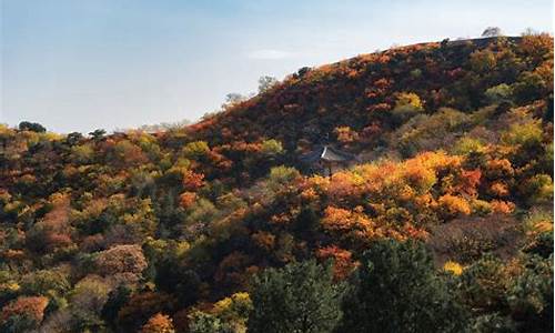 北京原始森林公园门票,北京原始森林公园