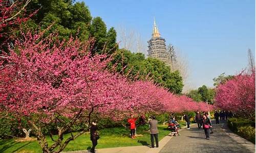 常州红梅公园梅花节,常州红梅公园景点介绍