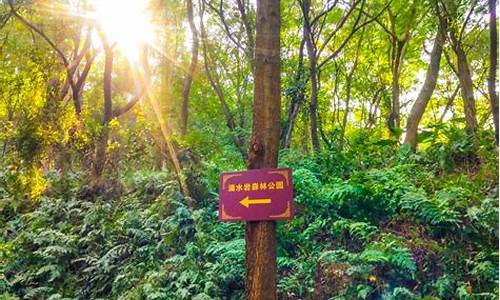 滴水岩生态园,滴水岩森林公园门票多少钱