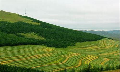 草原天路自驾游攻略呼伦贝尔,草原天路一日自驾游攻略