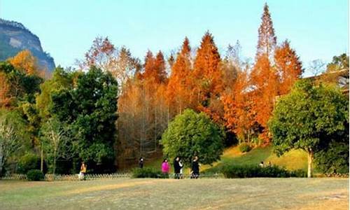 武夷山冬天气温几度,武夷山冬季旅游攻略