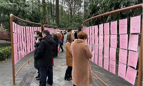 南宁人民公园相亲角在哪里啊,南宁人民公园相亲角在哪里