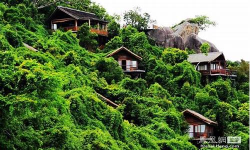 三亚森林公园住宿多少钱-三亚森林公园住宿